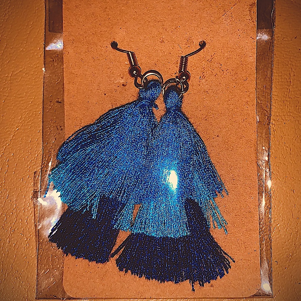 NWT Blue&Navy Ombre Bohemian Boutique Tassel Women’s Earrings